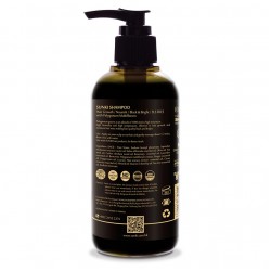 生肌 無患子何首烏洗髮露 (220ml)