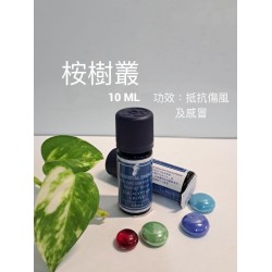 桉樹叢（10ML）